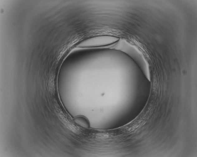 X0000087680394200705181735