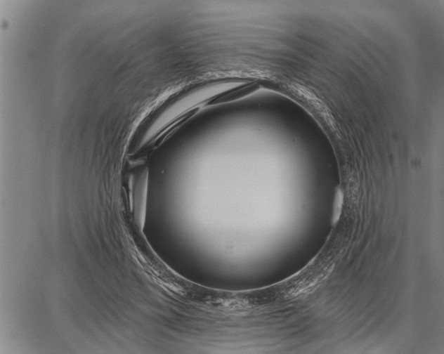 X0000087680395200705181735