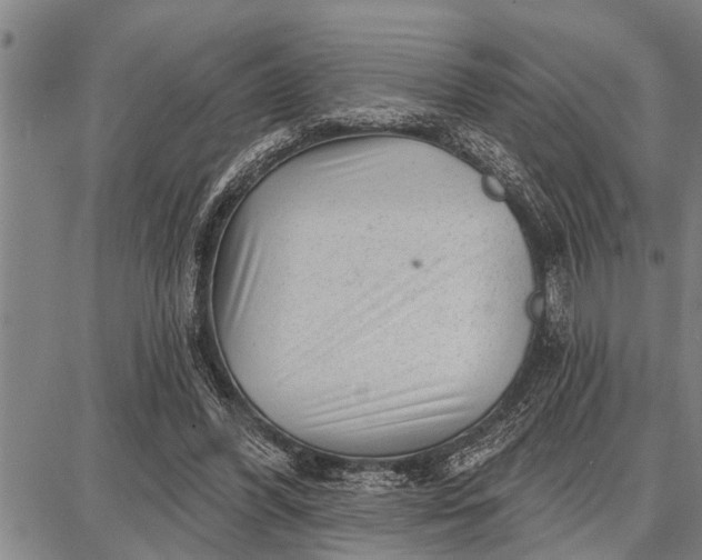 X0000087680396200705181735