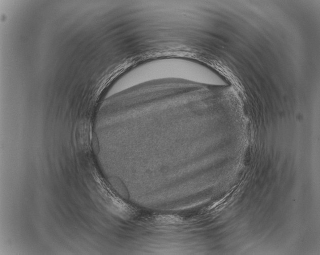 X0000087680397200705181735