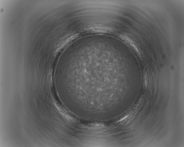 X0000087680398200705181735