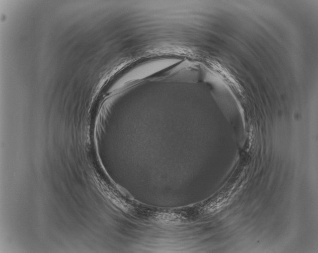 X0000087680399200705181735