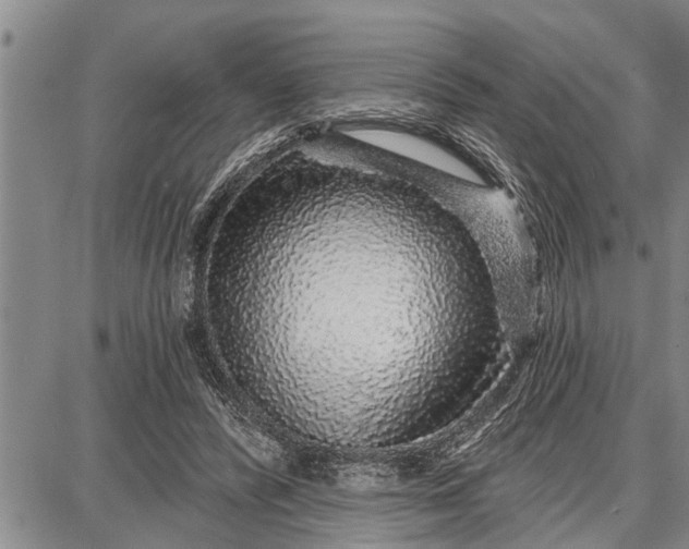 X0000087680400200705181735