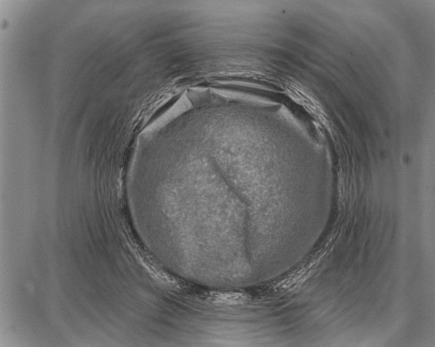 X0000087680401200705181735