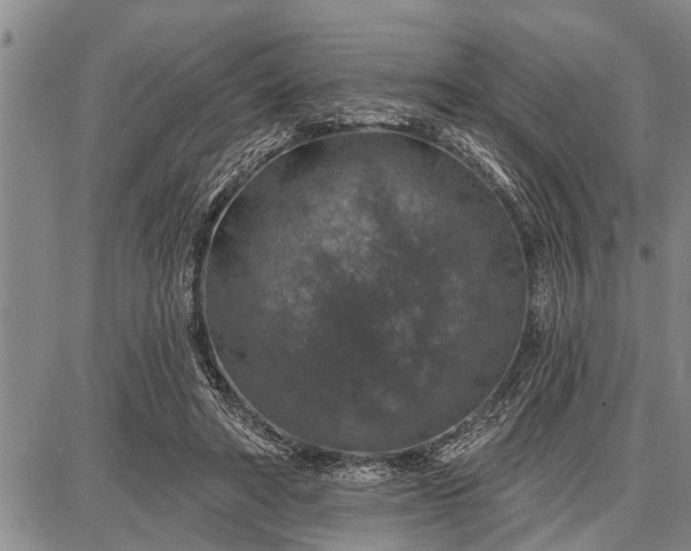 X0000087680402200705181735