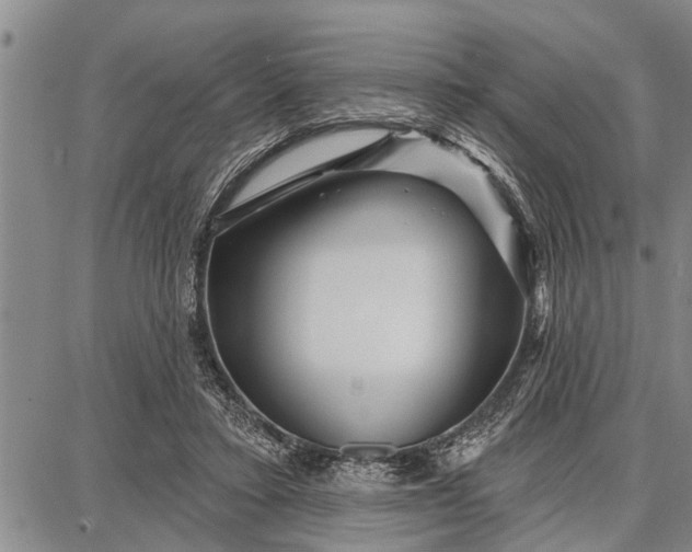 X0000087680403200705181735