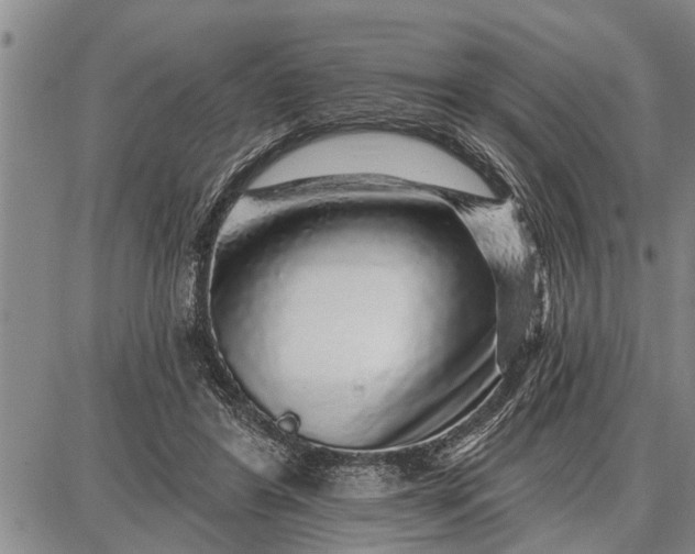 X0000087680404200705181735