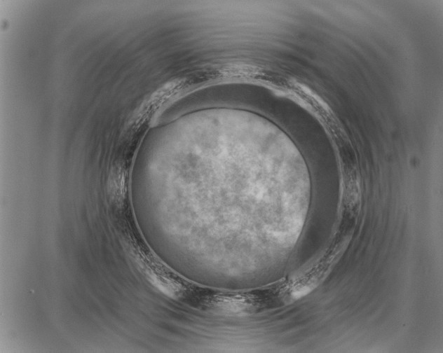 X0000087680405200705181735