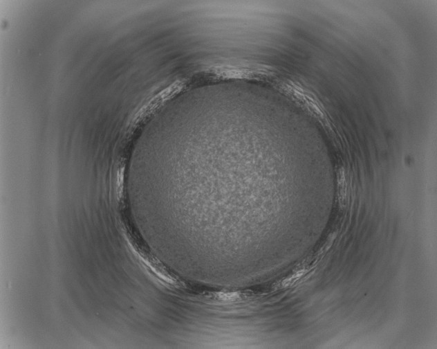 X0000087680406200705181735