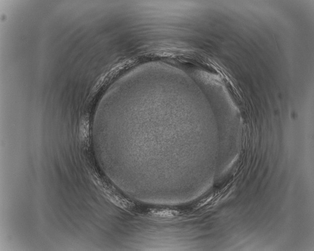 X0000087680407200705181735