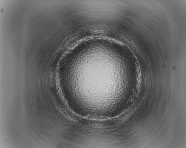 X0000087680408200705181735