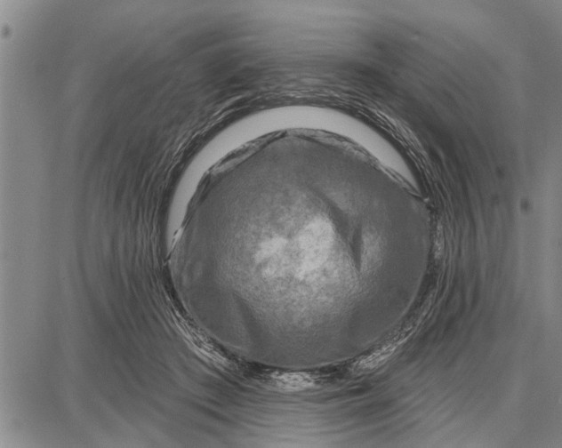 X0000087680409200705181735