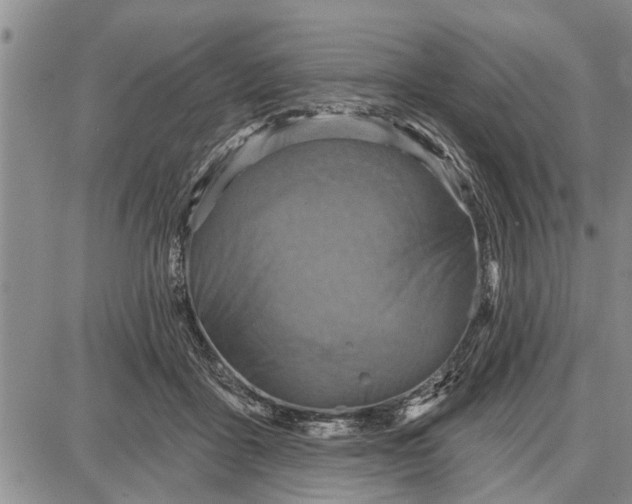 X0000087680411200705181734