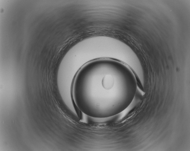 X0000087680412200705181734