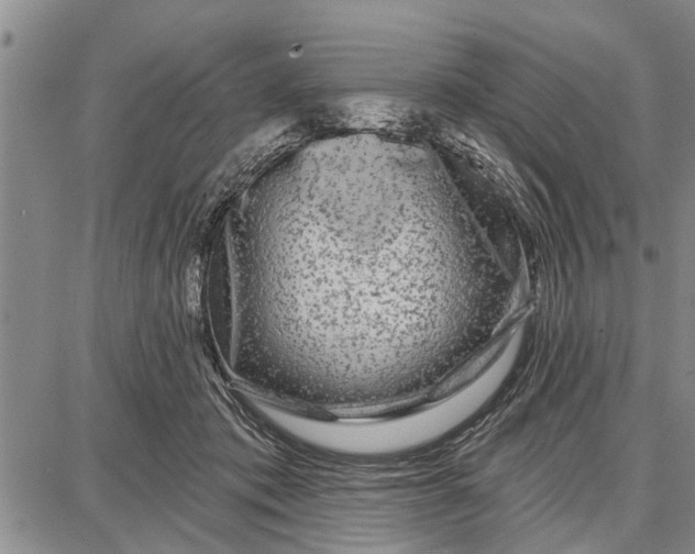 X0000087680413200705181734