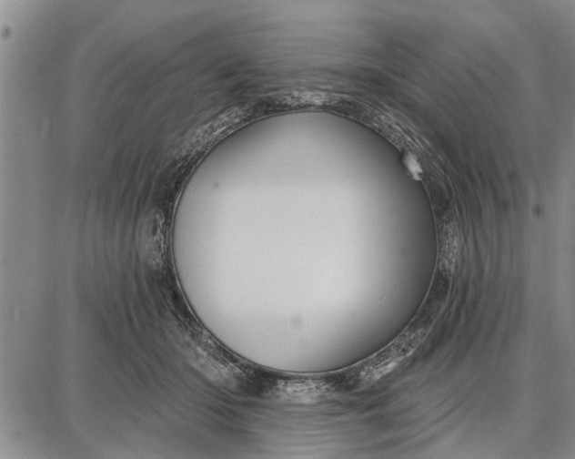 X0000087680414200705181734