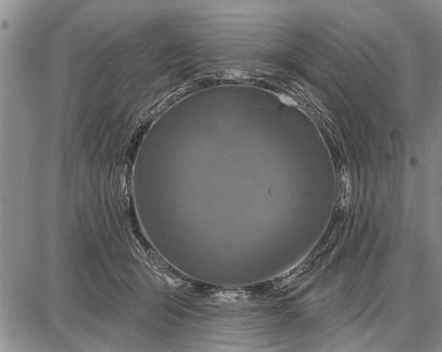 X0000087680415200705181734