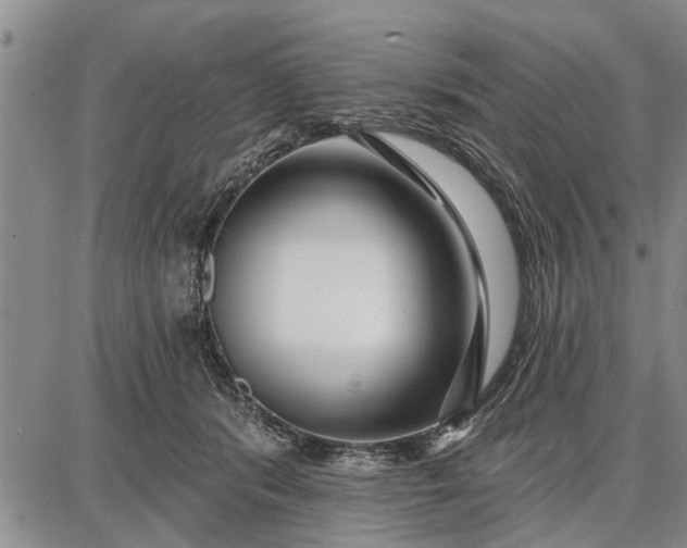 X0000087680416200705181734