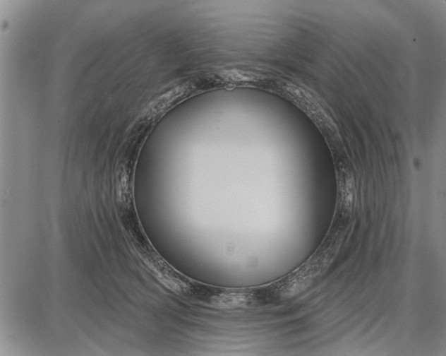 X0000087680418200705181734