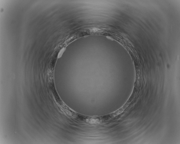 X0000087680419200705181734