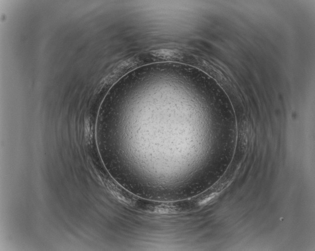 X0000087680420200705181734