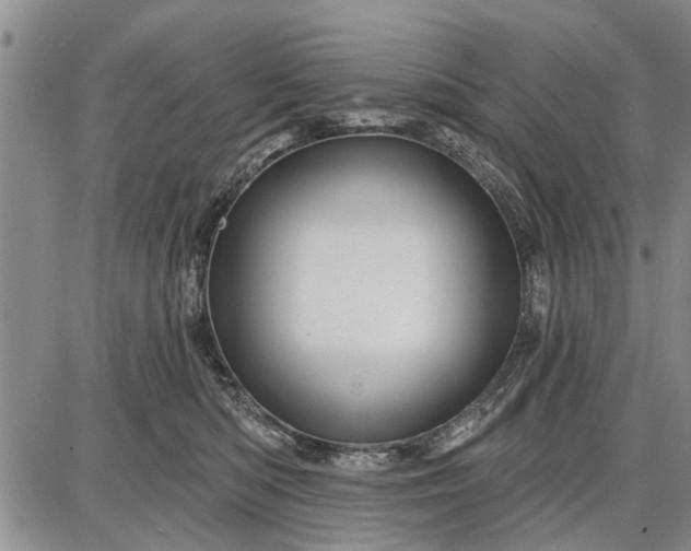 X0000087680422200705181734