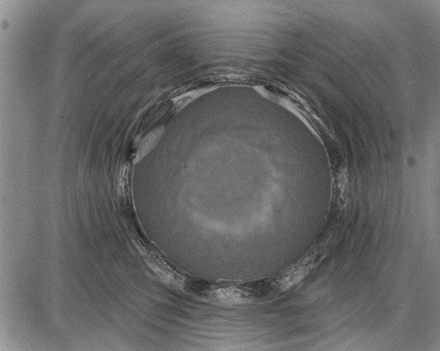 X0000087680423200705181734