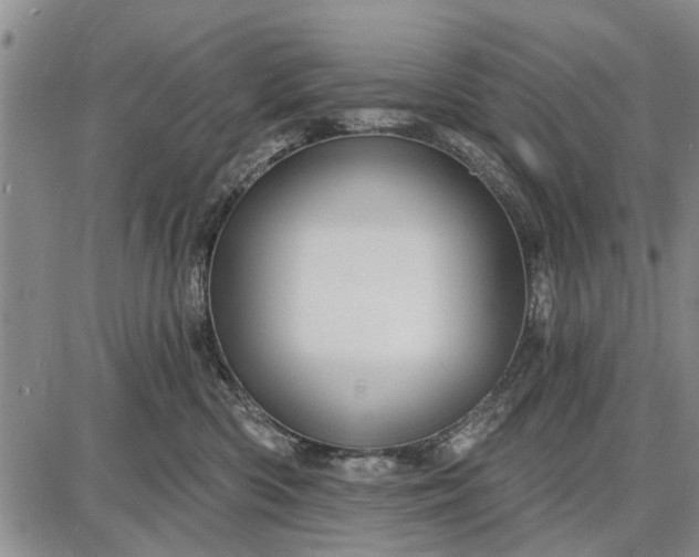 X0000087680426200705181734