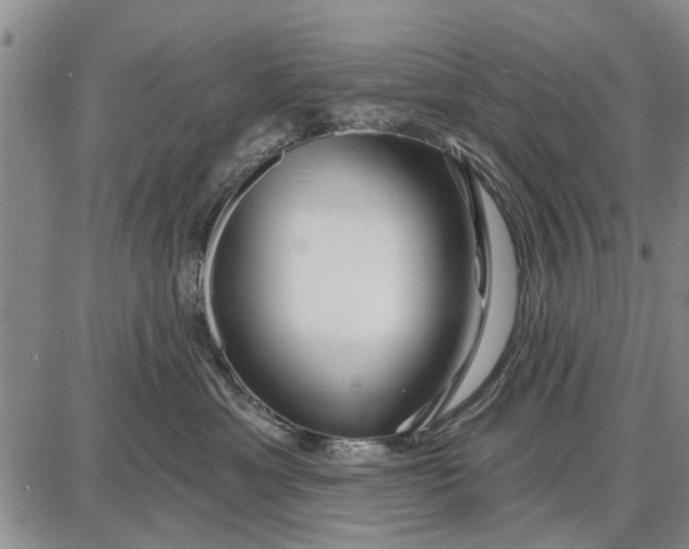 X0000087680429200705181734