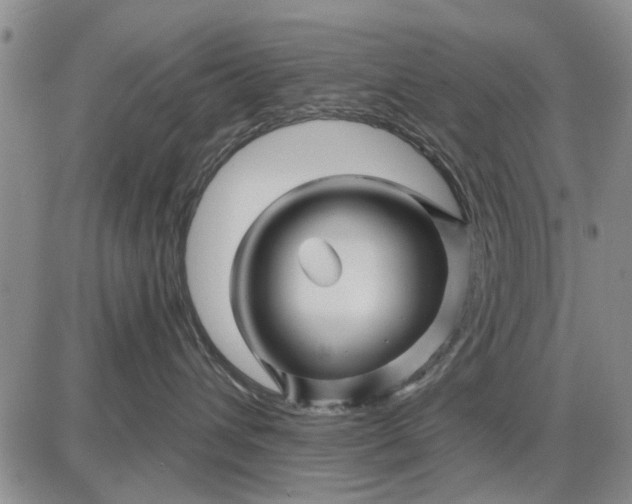 X0000087680432200705181734