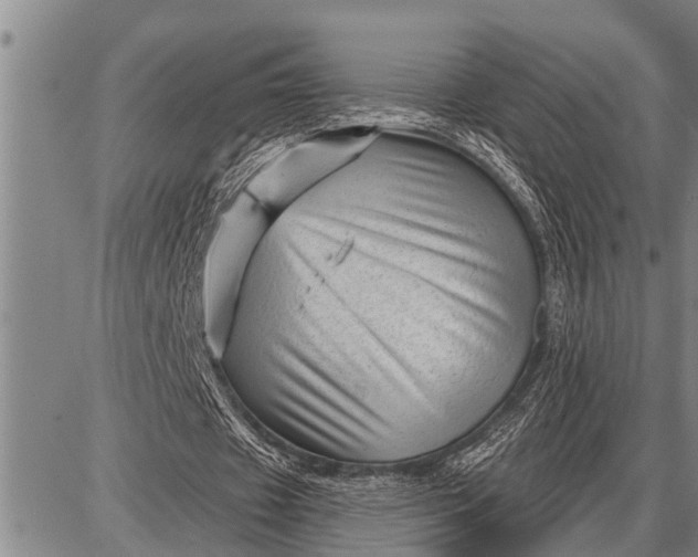 X0000087680433200705181733