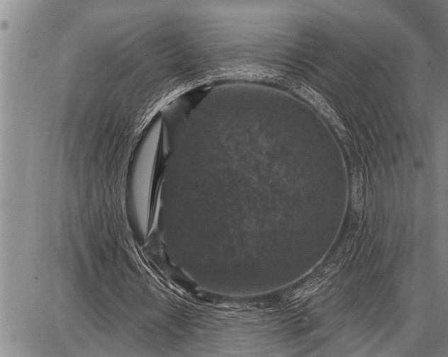 X0000087680434200705181733