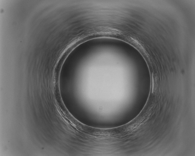 X0000087680435200705181733