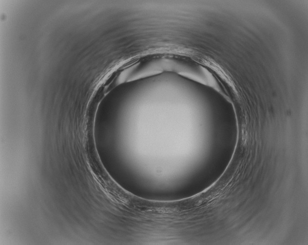 X0000087680436200705181733