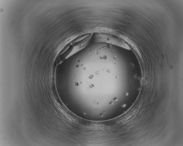 X0000087680437200705181733