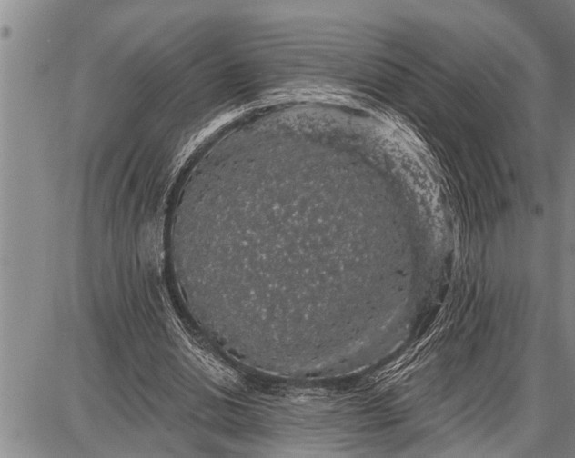 X0000087680438200705181733