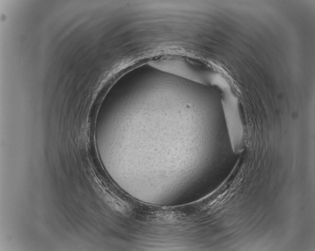 X0000087680439200705181733