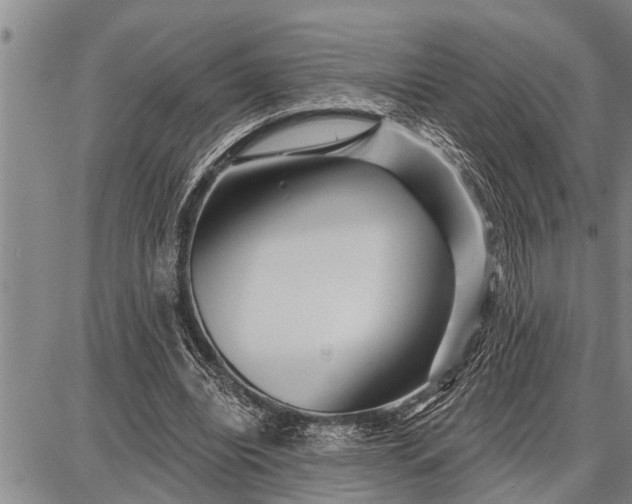 X0000087680440200705181733