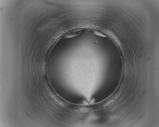 X0000087680441200705181733