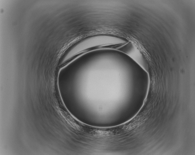 X0000087680442200705181733