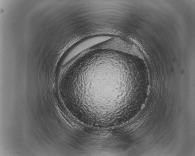 X0000087680443200705181734