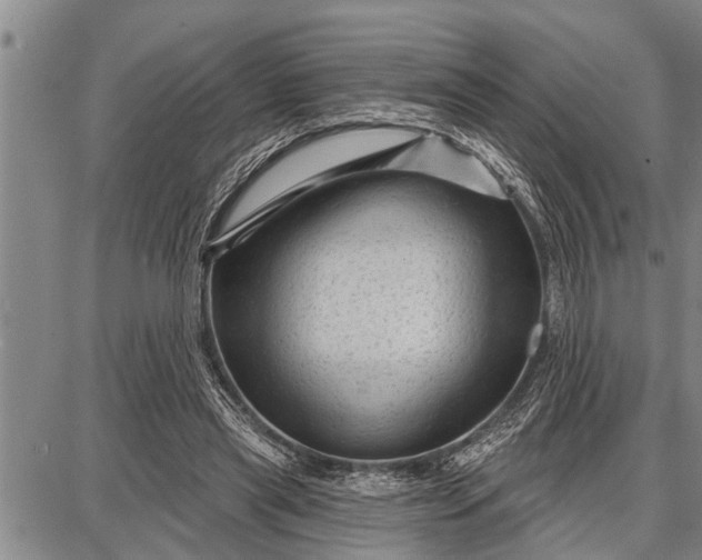 X0000087680445200705181734