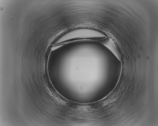 X0000087680446200705181734