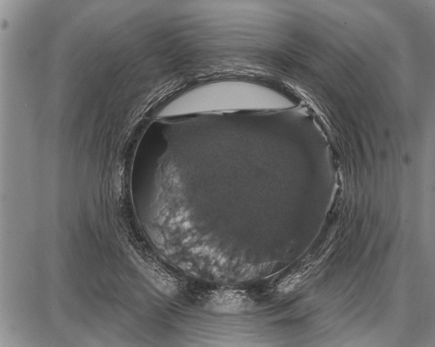 X0000087680451200705181734