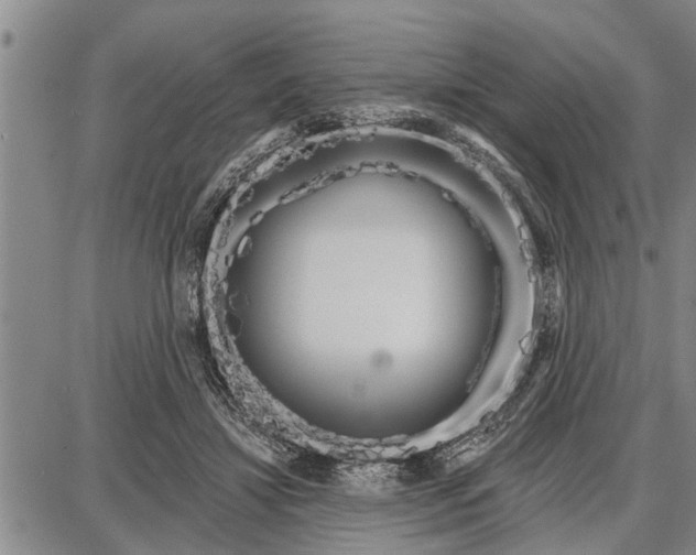 X0000087680452200705181734