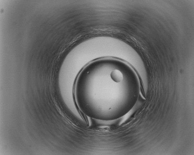 X0000087680456200705181734