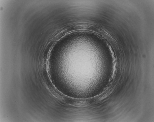 X0000087680459200705181734