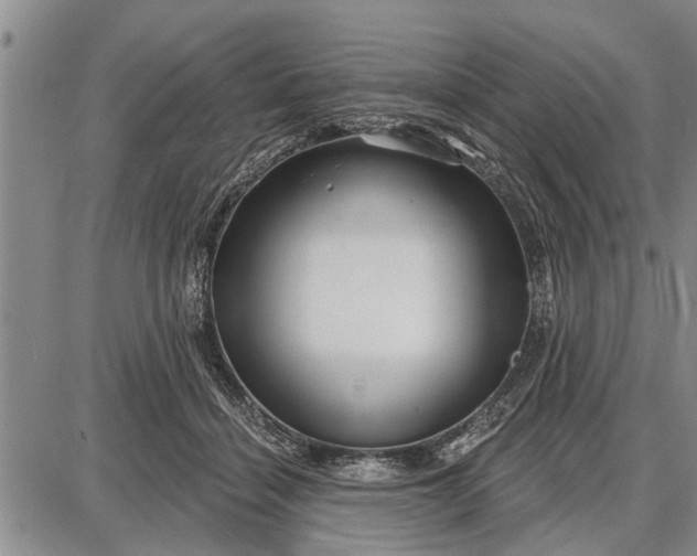 X0000087680460200705181734