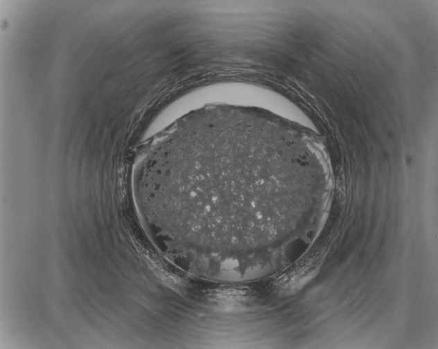 X0000087680462200705181734