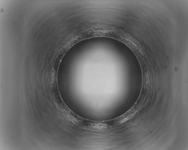 X0000087680463200705181734